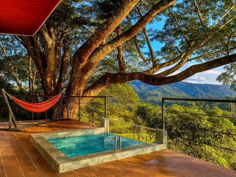The Treehouse
