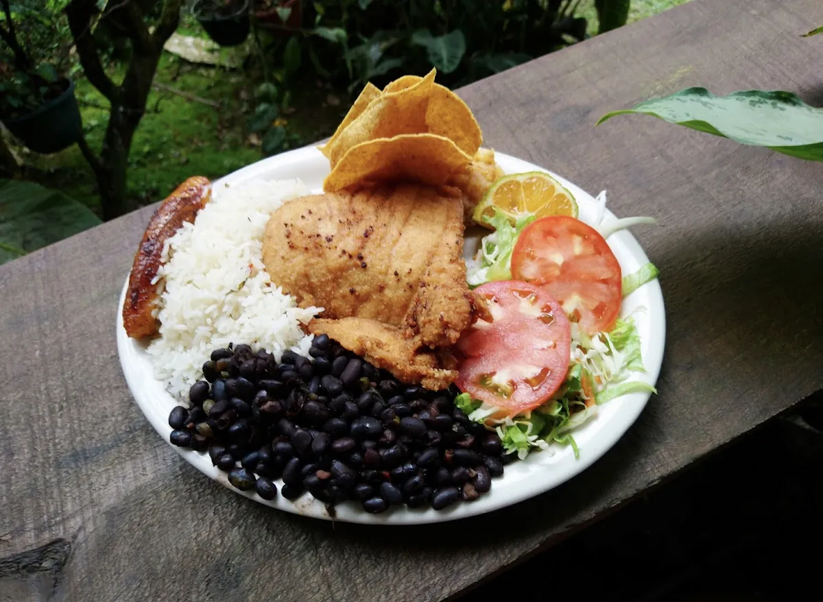 Traditional Costa Rican casado with rice, beans, plantains and salad