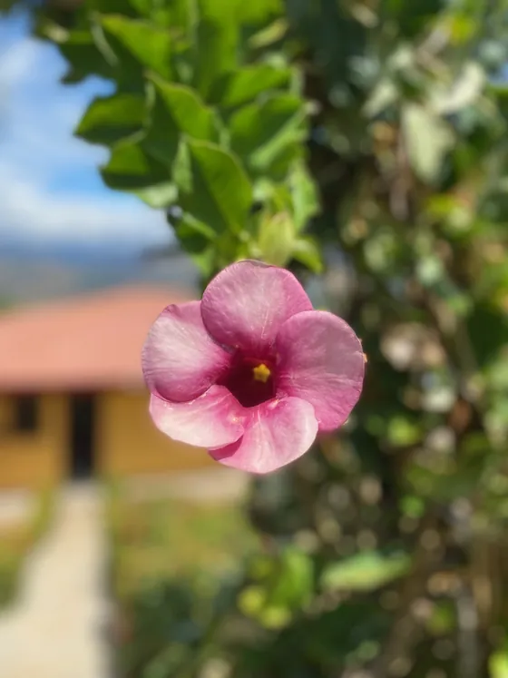 Bella Vista — The Whole Resort at Bella Vista Private Resort in Costa Rica — photo 17